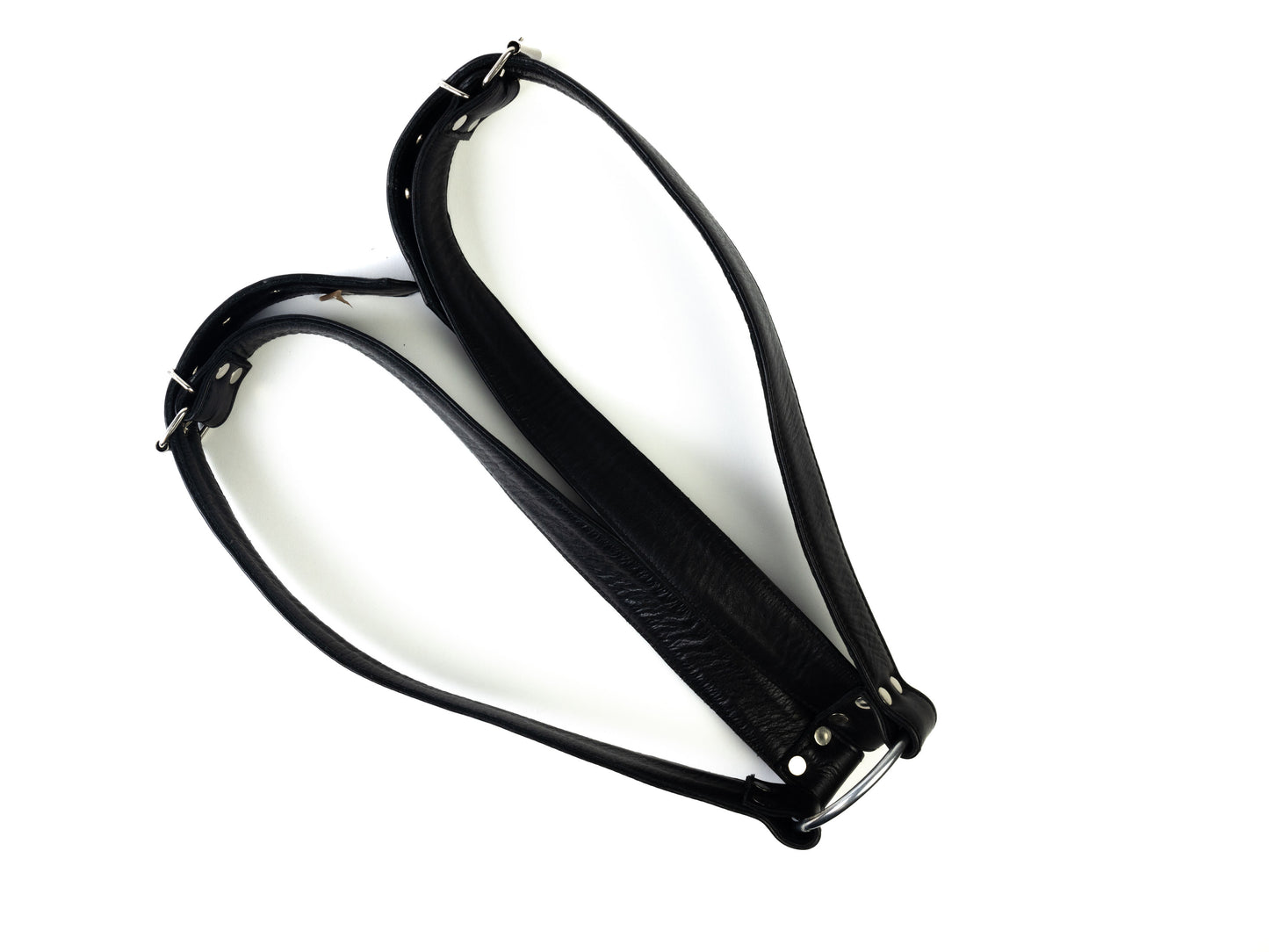 Harness with attachment point