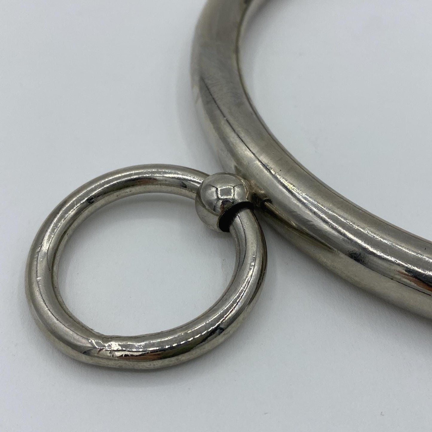 Stainless steel collar with ring Diameter: O - 12cm