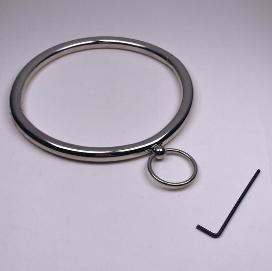 Stainless steel collar with removable ring