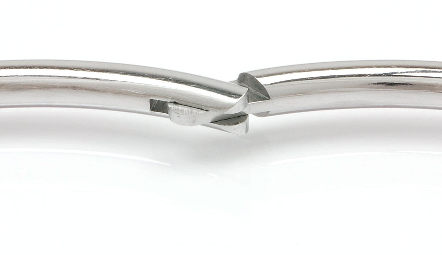 Eternity Collar Slave Collar