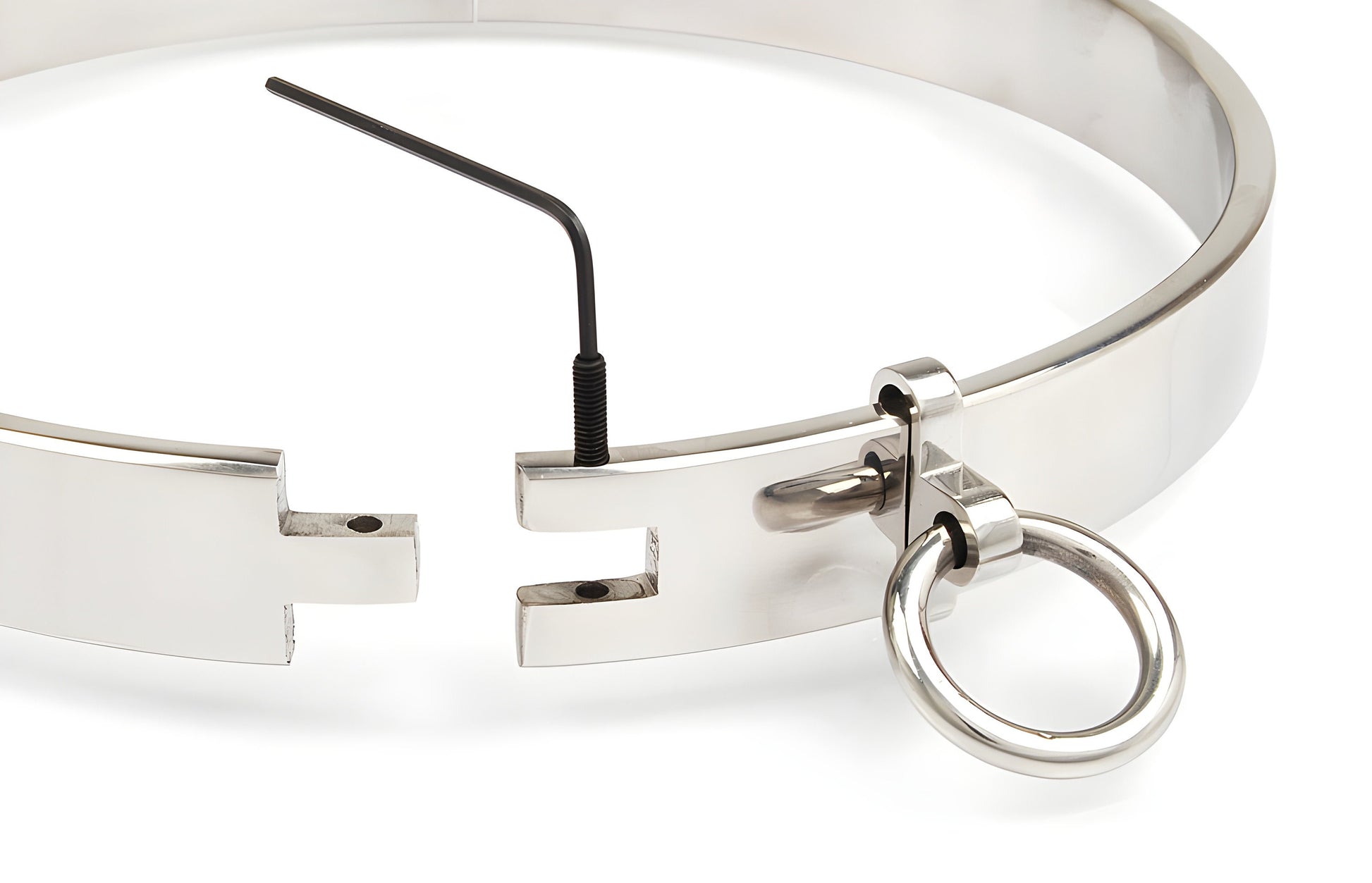 Großes Edelstahl-Halseisen mit abnehmbarem Ring für Bondage/BDSM