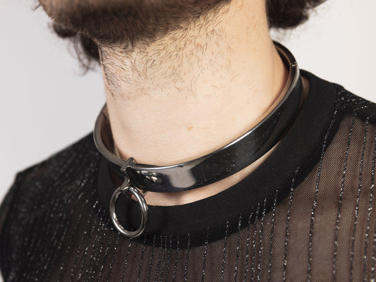 Stainless steel collar with removable ring