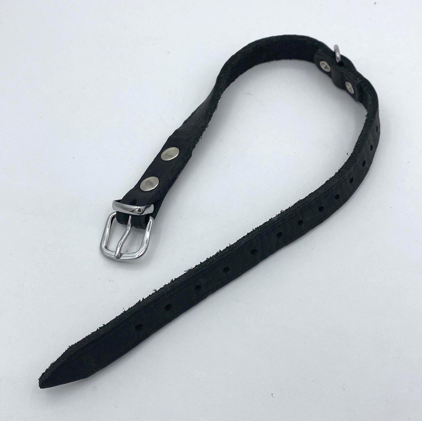 Size-adjustable collar with ring. Max circumf. 36cm